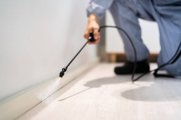 Licensed Cockroach Control service in Amherst, OH - Nex Pest Control
