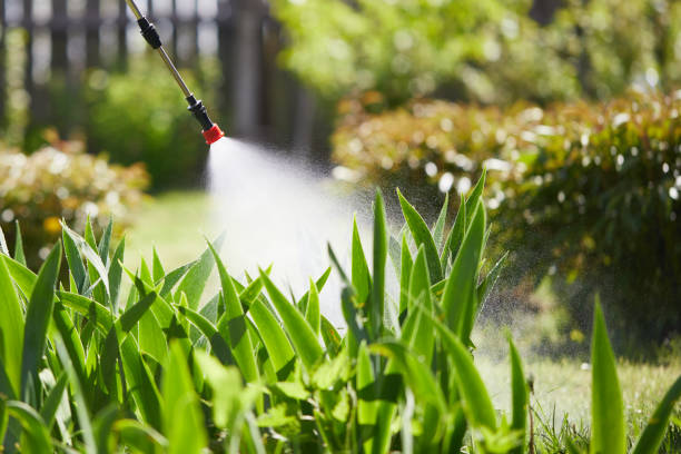 24/7 Emergency Cockroach Control experts in Amherst, OH